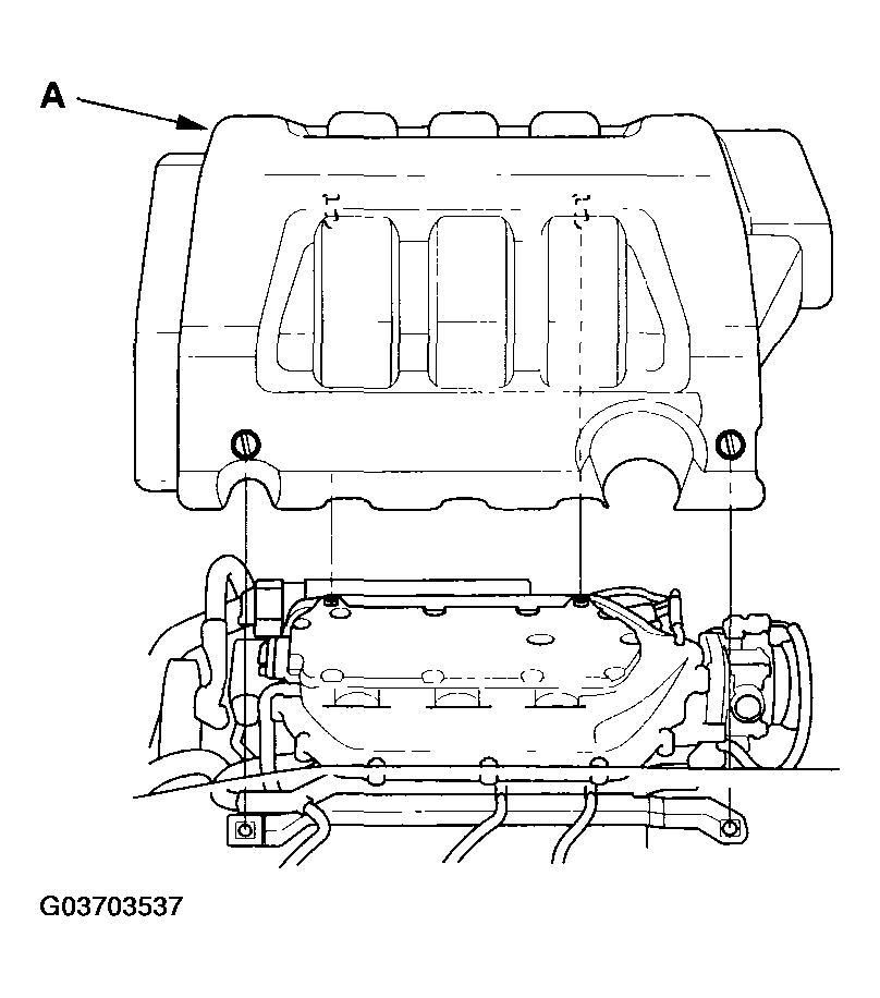 G03703537