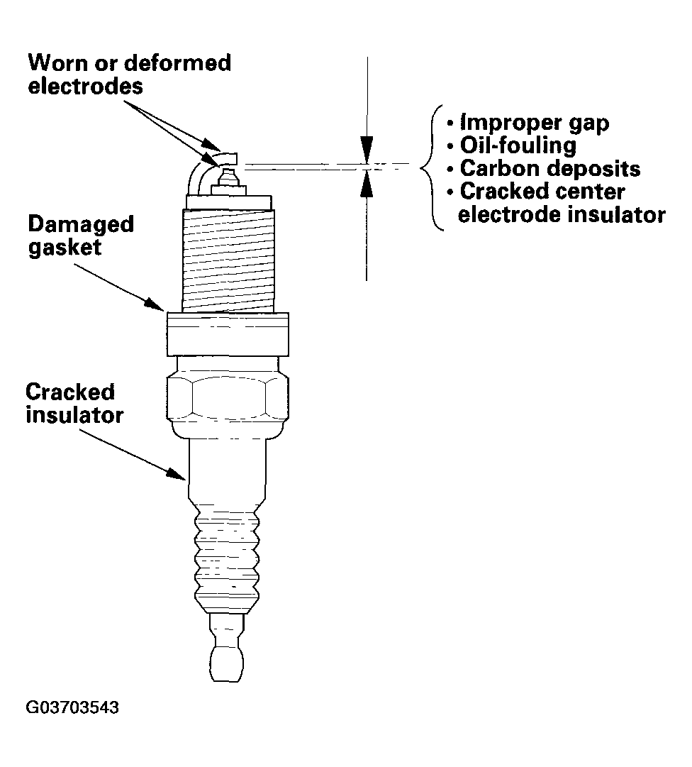 G03703543