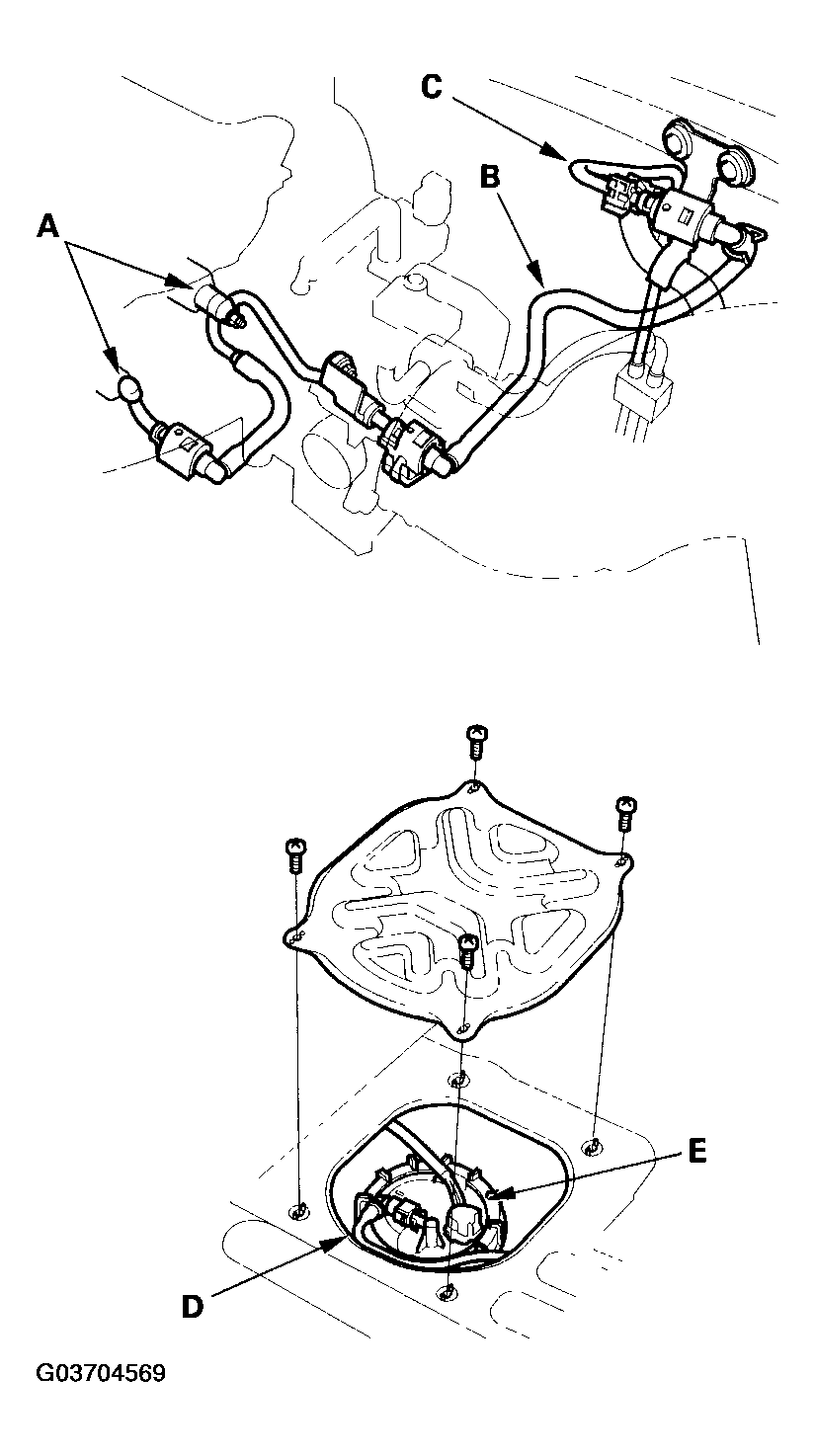 G03704569