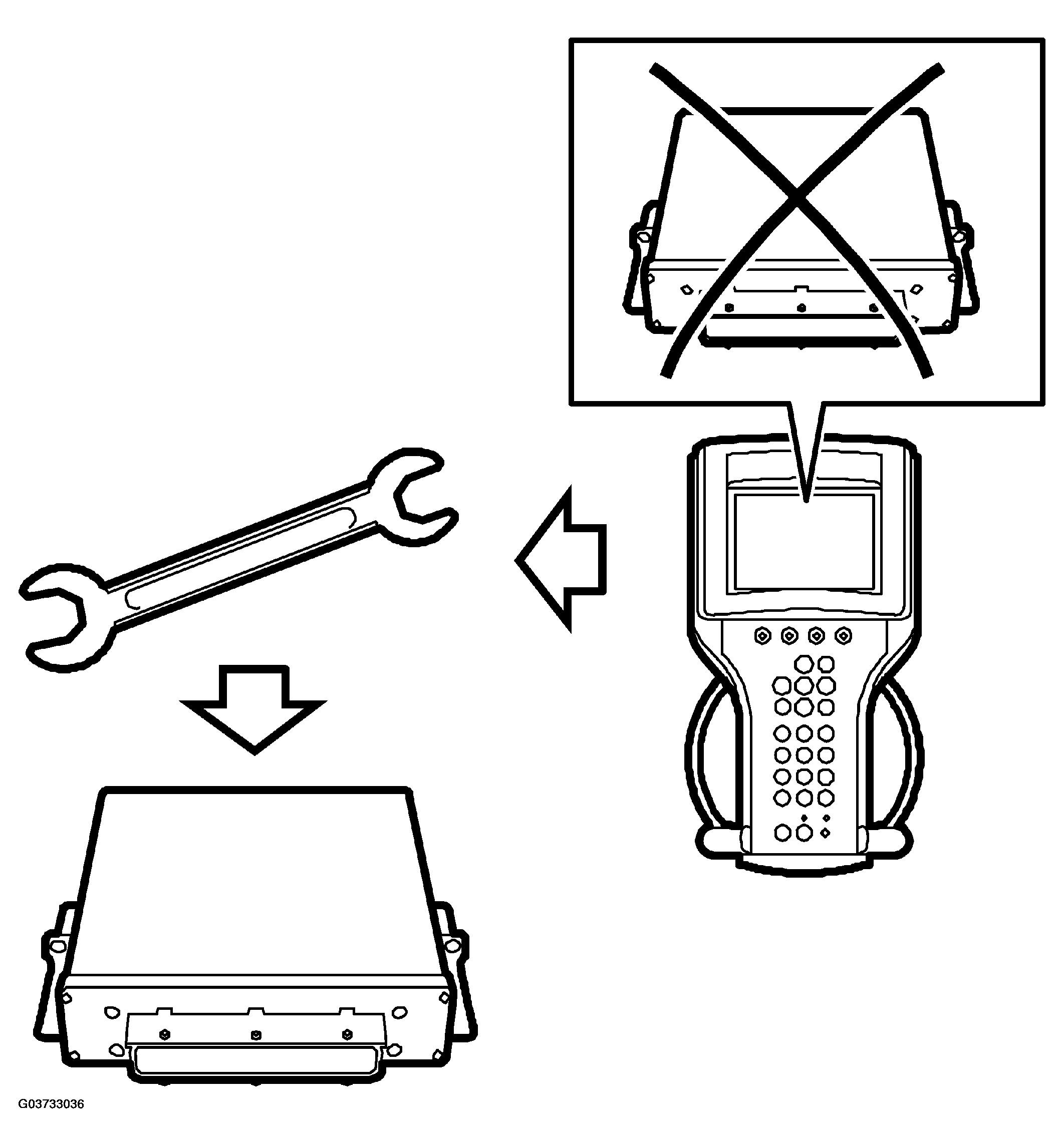 G03733036