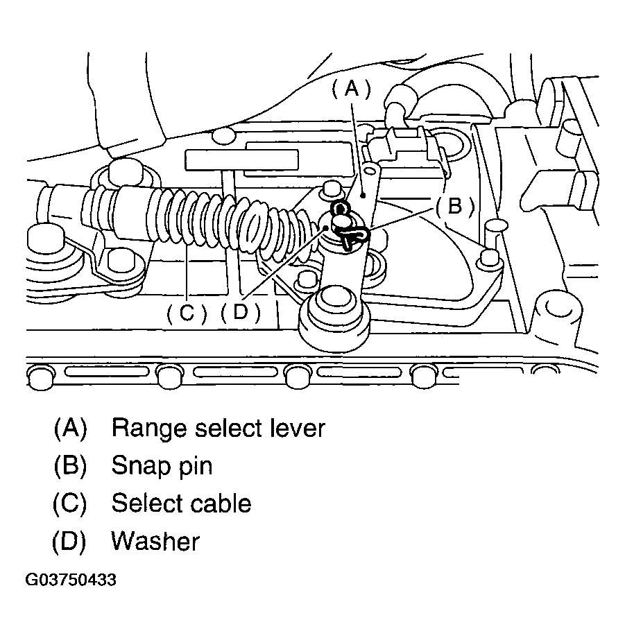 G03750433