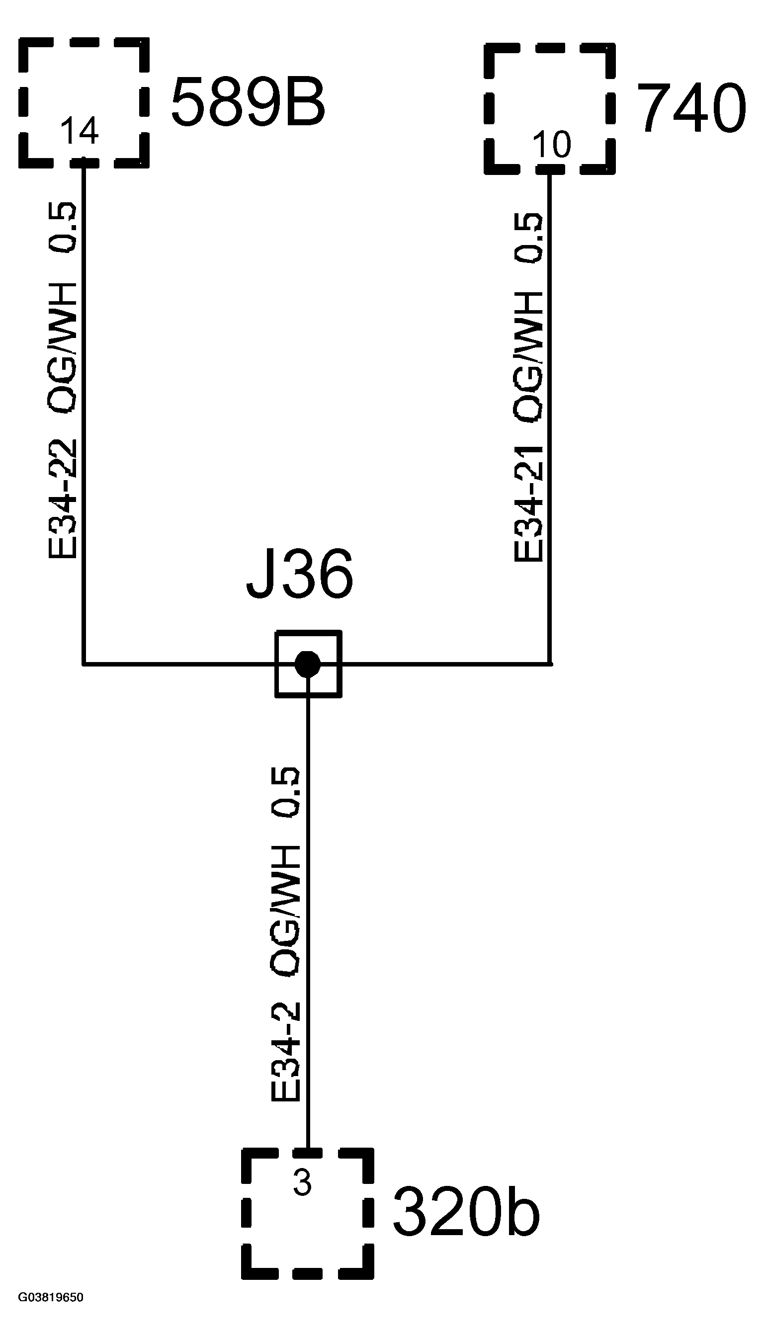G03819650