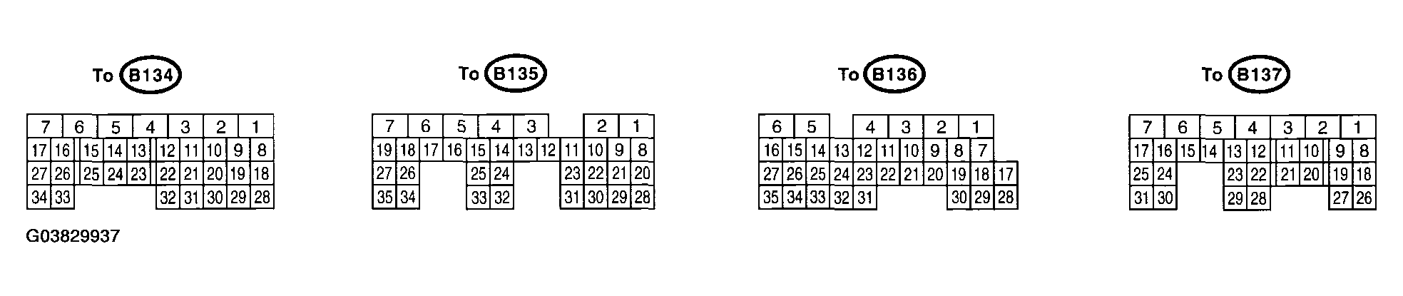 G03829937
