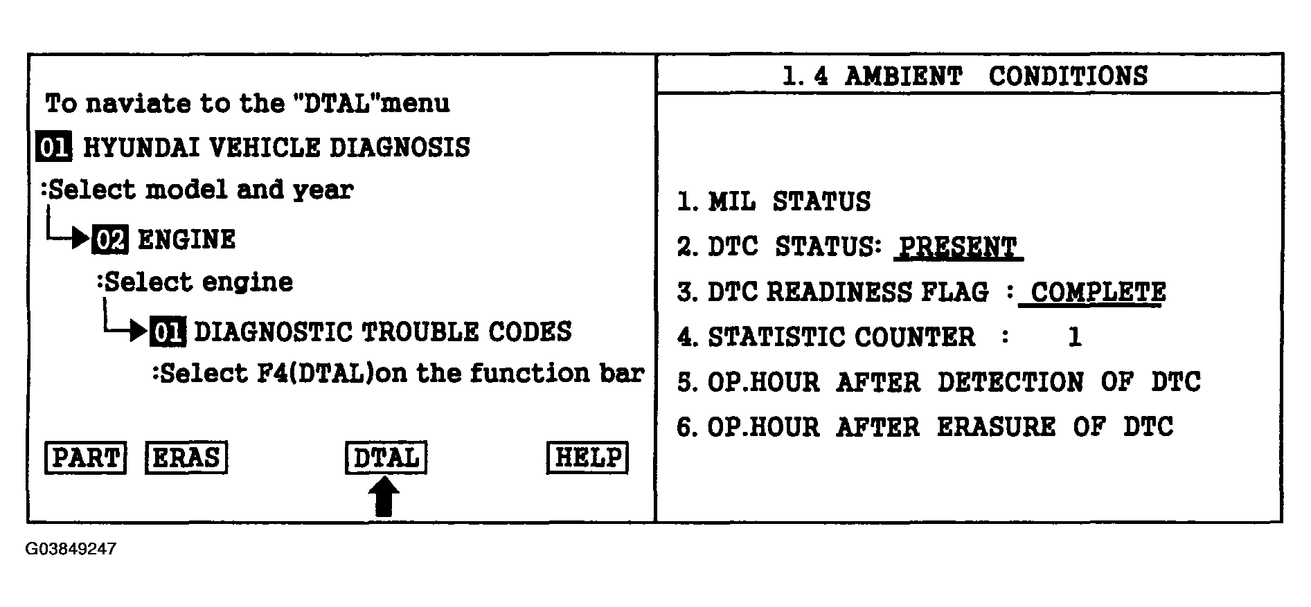 G03849247