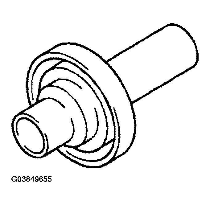 G03849655