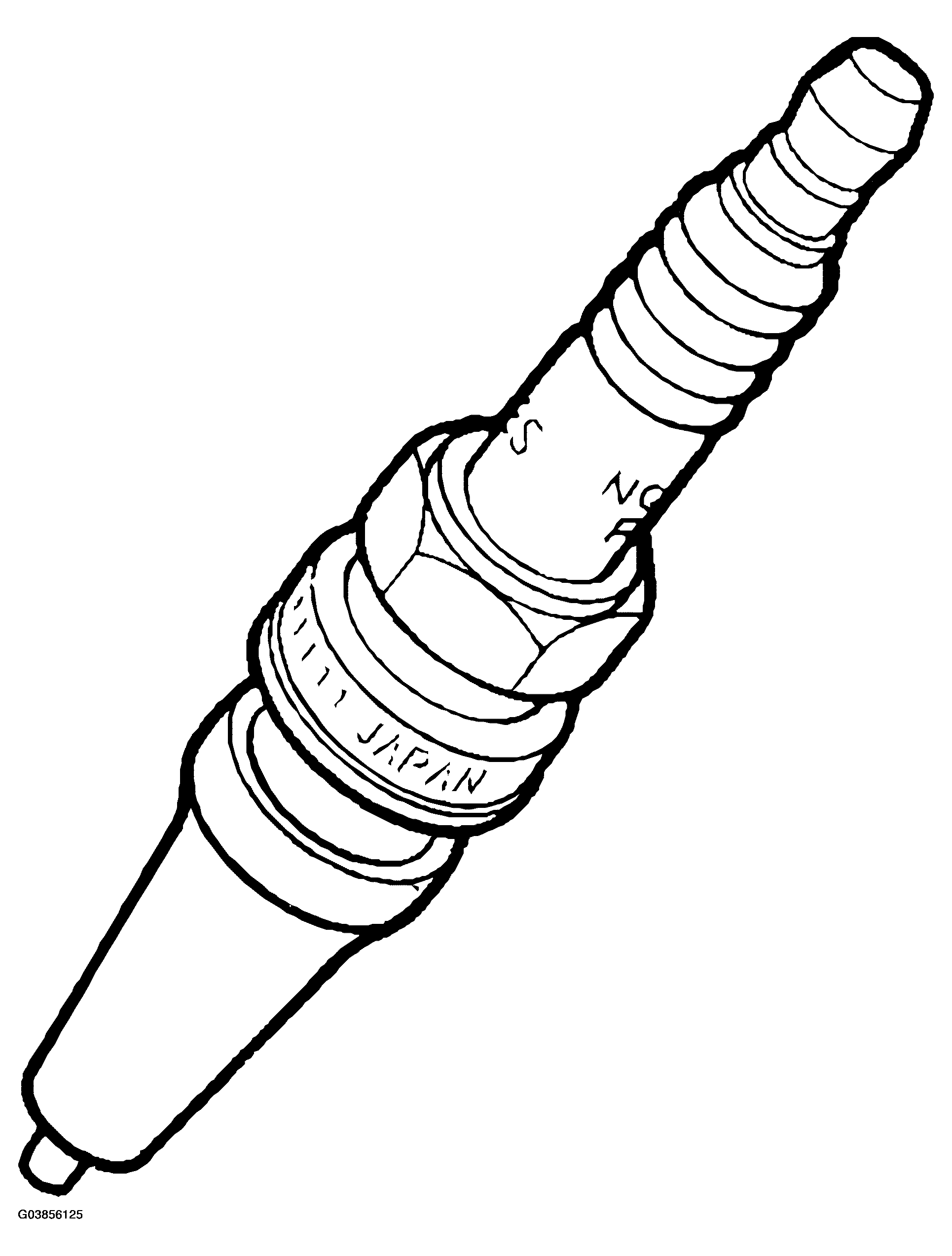 G03856125