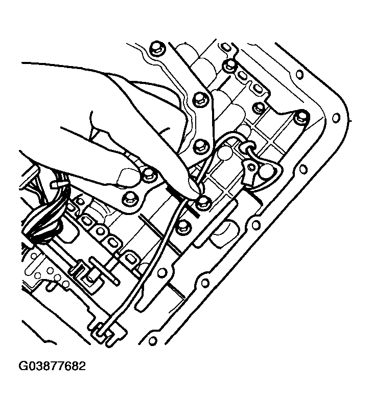 G03877682
