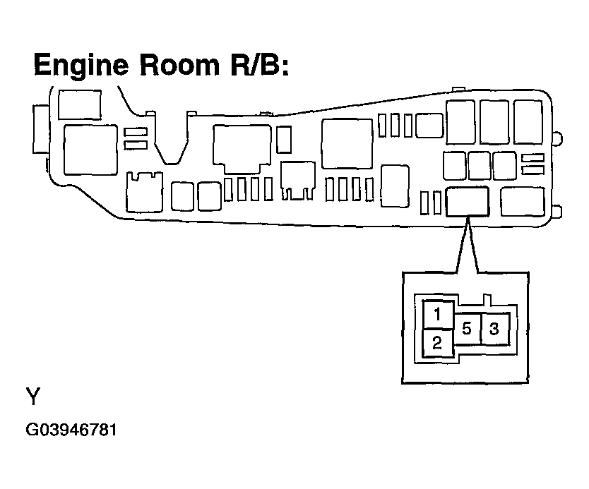 G03946781