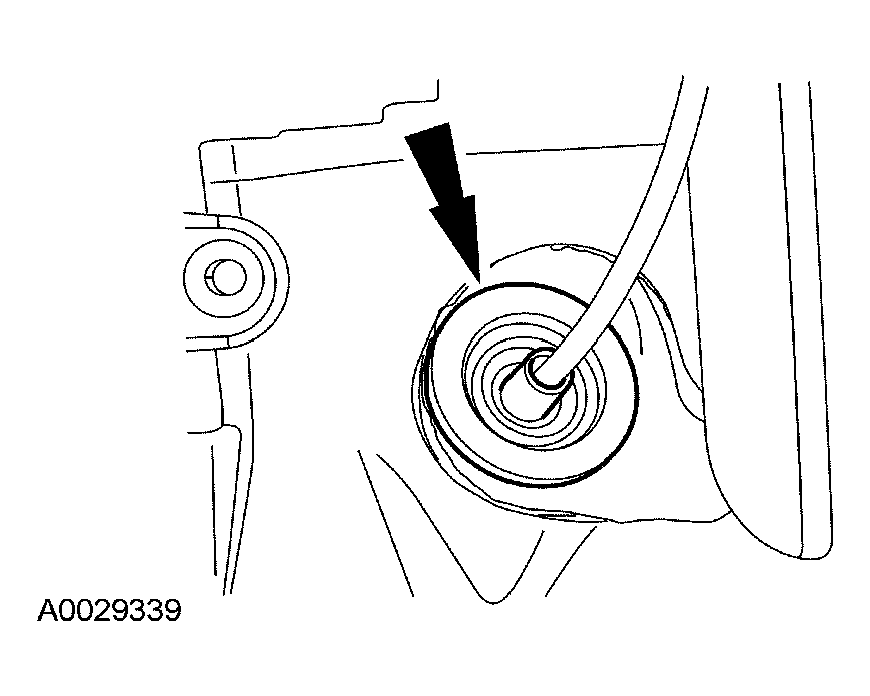 G03949421