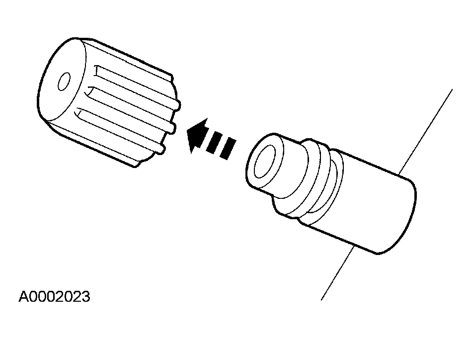 G03952019