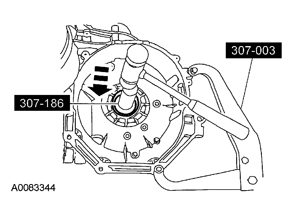 G03957323