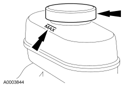 G03983412