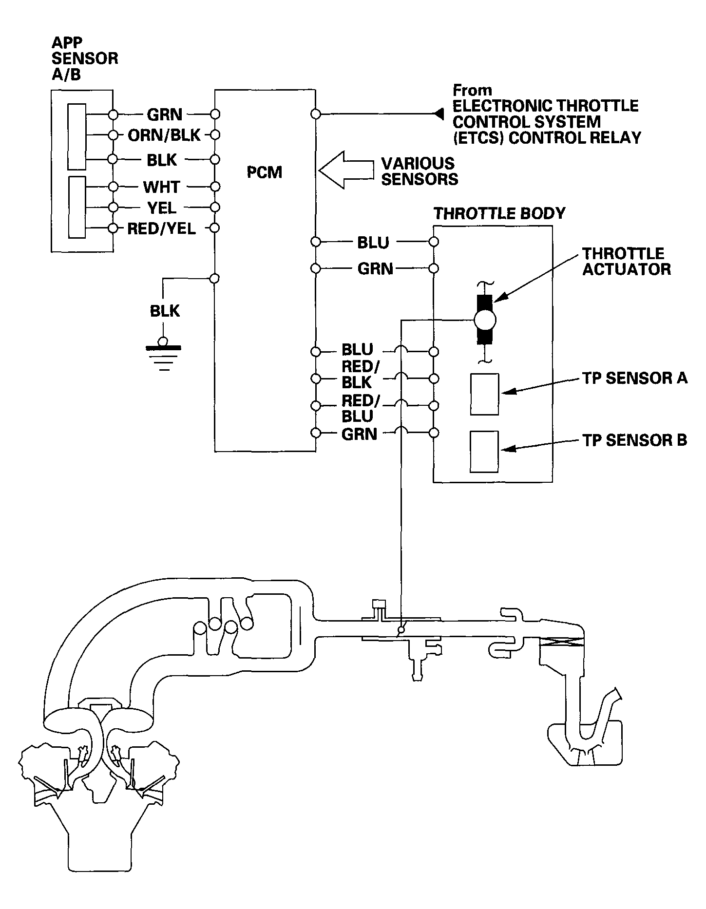 G04545867