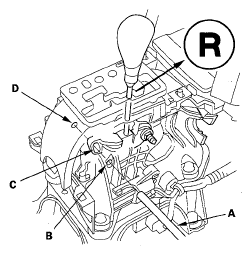 G05495743