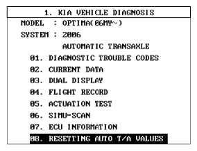 G06366217