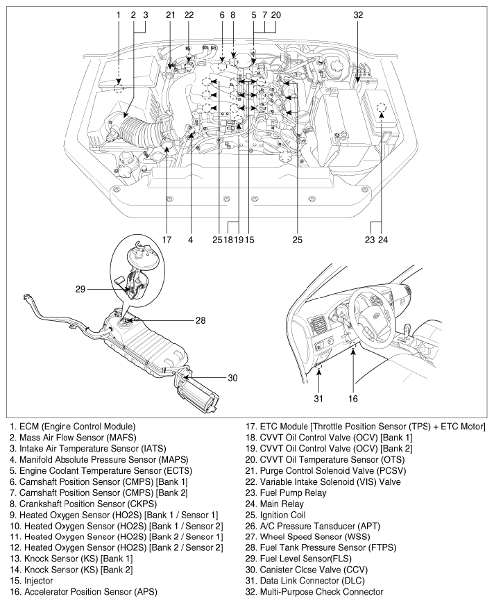 G06408033