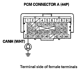 G06429336