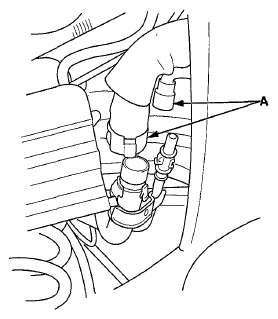 G06429556