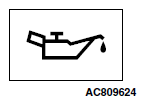 G06483910