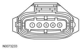 G07432394
