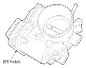 G08331020