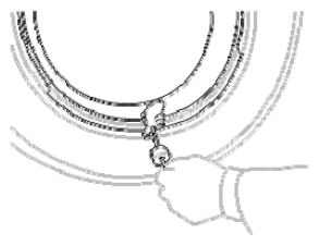 G09777906