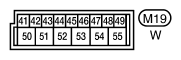 G10955584