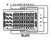 G11044761