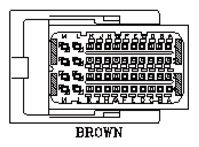 G11045682