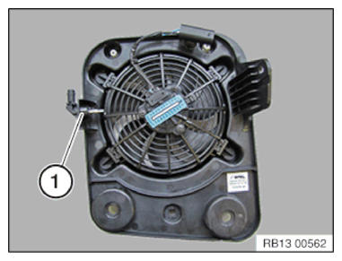 G11145048