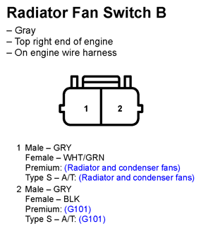G11247156