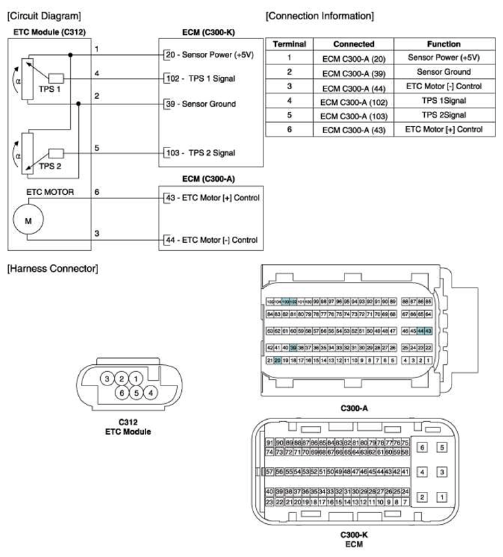 G11404339