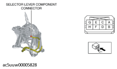 G11429232