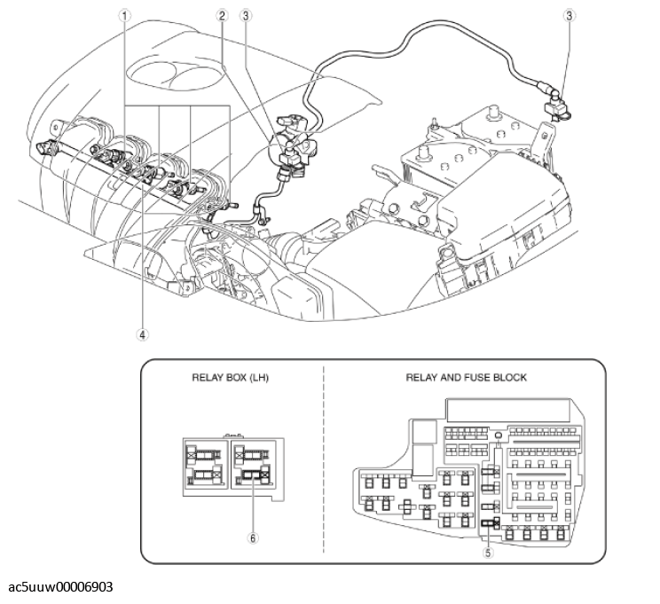 G11429530