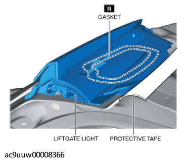 G11435171