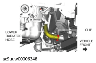 G11436676