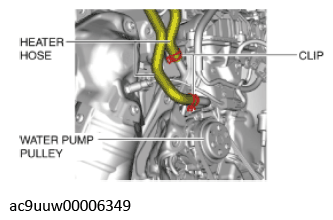 G11436677
