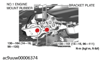 G11436704