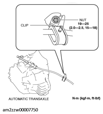 G11438229