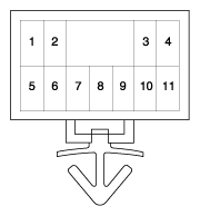 G11631380