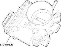 G11675651