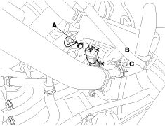 G11675677