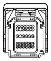 G11680116