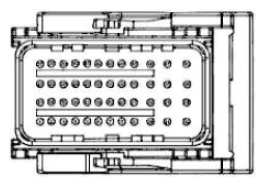 G11680271