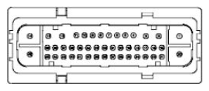 G11681594