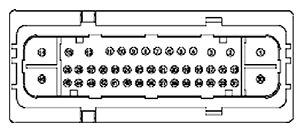 G11681719
