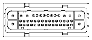 G11681953