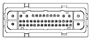 G11681991