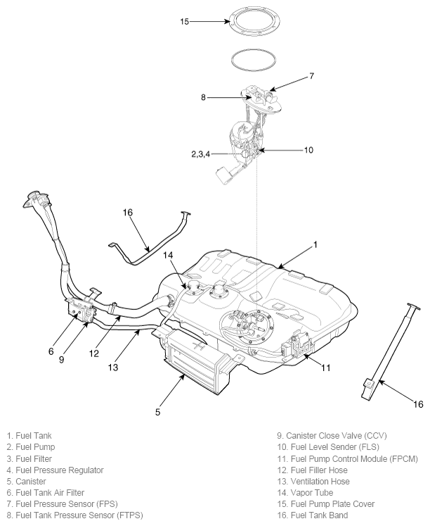 G11784121