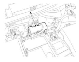 G11792549